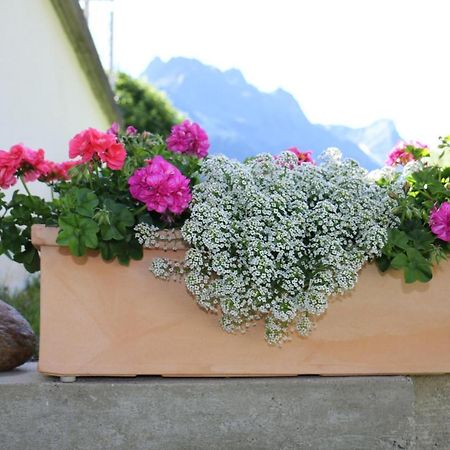 Apart Brigitta Sankt Leonhard im Pitztal Luaran gambar
