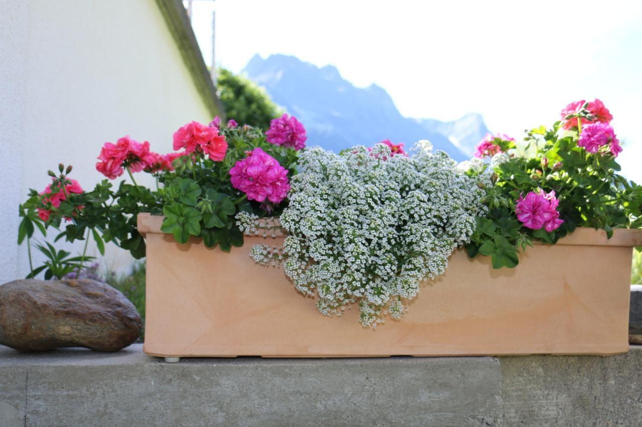 Apart Brigitta Sankt Leonhard im Pitztal Luaran gambar